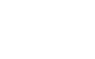 박카스