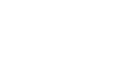 MORE VISION